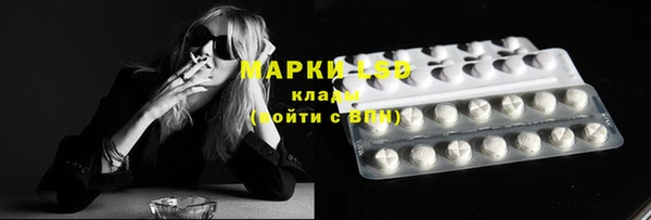ПСИЛОЦИБИНОВЫЕ ГРИБЫ Наволоки