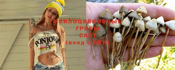 ПСИЛОЦИБИНОВЫЕ ГРИБЫ Наволоки