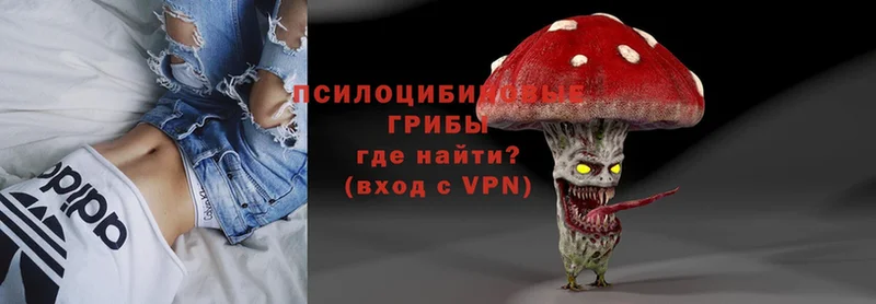 Галлюциногенные грибы MAGIC MUSHROOMS  Всеволожск 