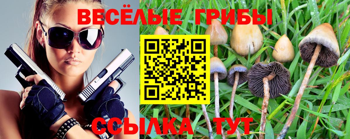 Галлюциногенные грибы Cubensis  Галлюциногенные грибы Magic Shrooms  Вход с VPN  Всеволожск 