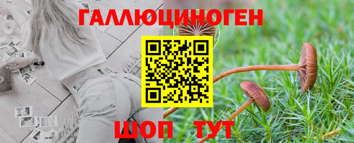 Псилоцибиновые грибы Magic Shrooms  Всеволожск 